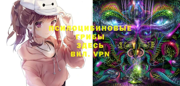 ГАЛЛЮЦИНОГЕННЫЕ ГРИБЫ Заводоуковск