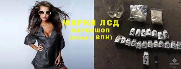 ГАЛЛЮЦИНОГЕННЫЕ ГРИБЫ Заводоуковск