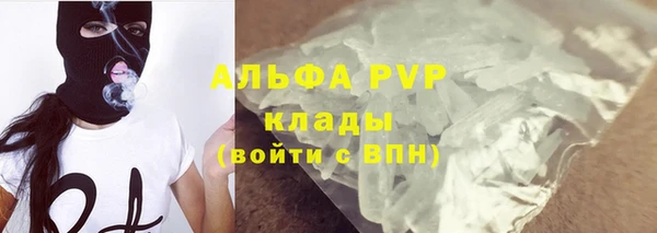 ГАЛЛЮЦИНОГЕННЫЕ ГРИБЫ Заводоуковск