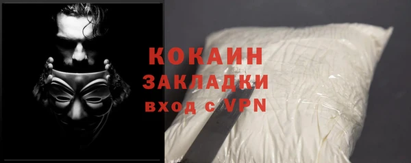 ГАЛЛЮЦИНОГЕННЫЕ ГРИБЫ Заводоуковск