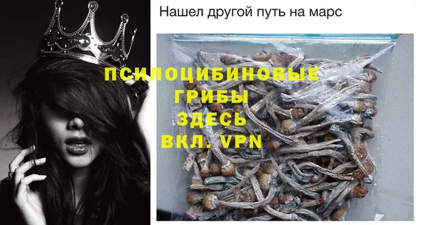ГАЛЛЮЦИНОГЕННЫЕ ГРИБЫ Заводоуковск