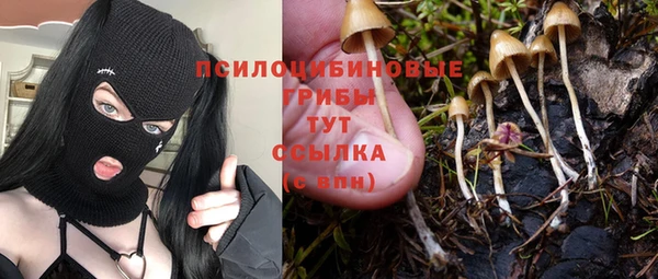 герыч Елизово