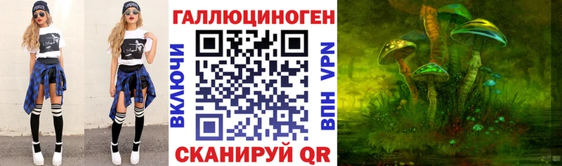 Галлюциногенные грибы Psilocybine cubensis  Купить  Чёрмоз 